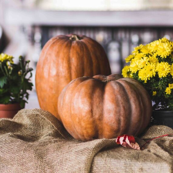 Decoración de Otoño