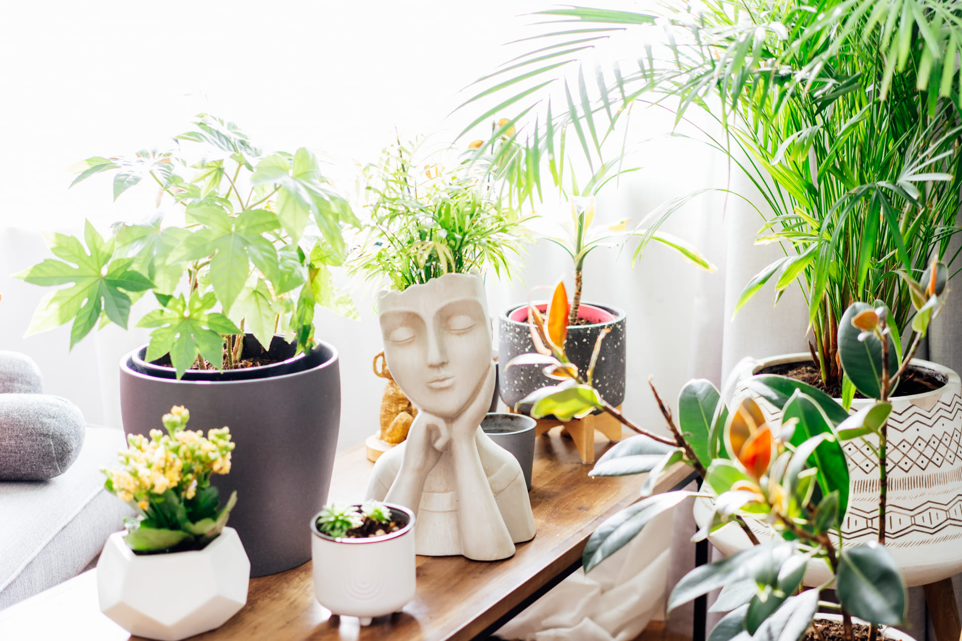 biophilic decor